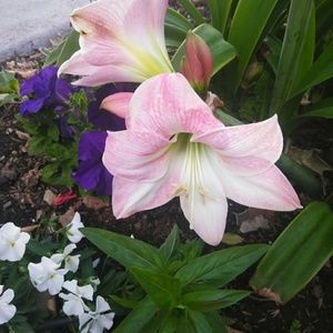 Meet your Posher, Hilda